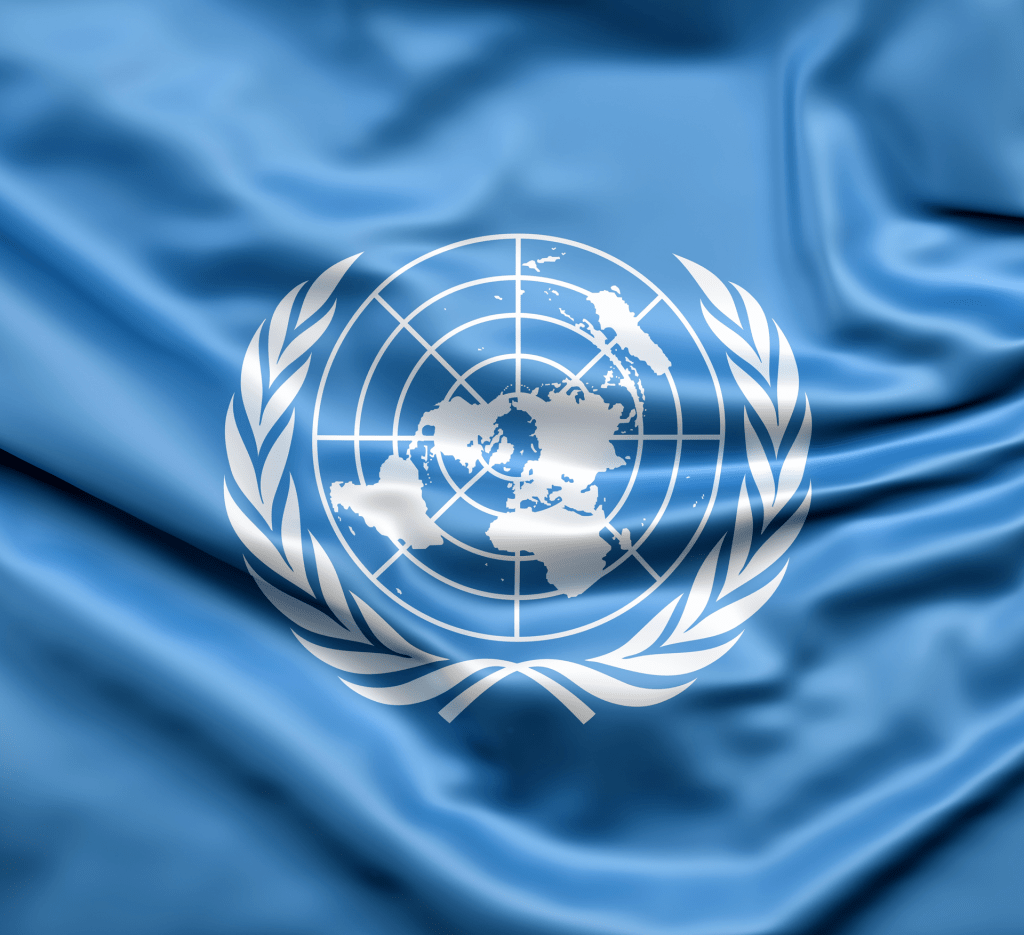 bandera oficial de la ONU
