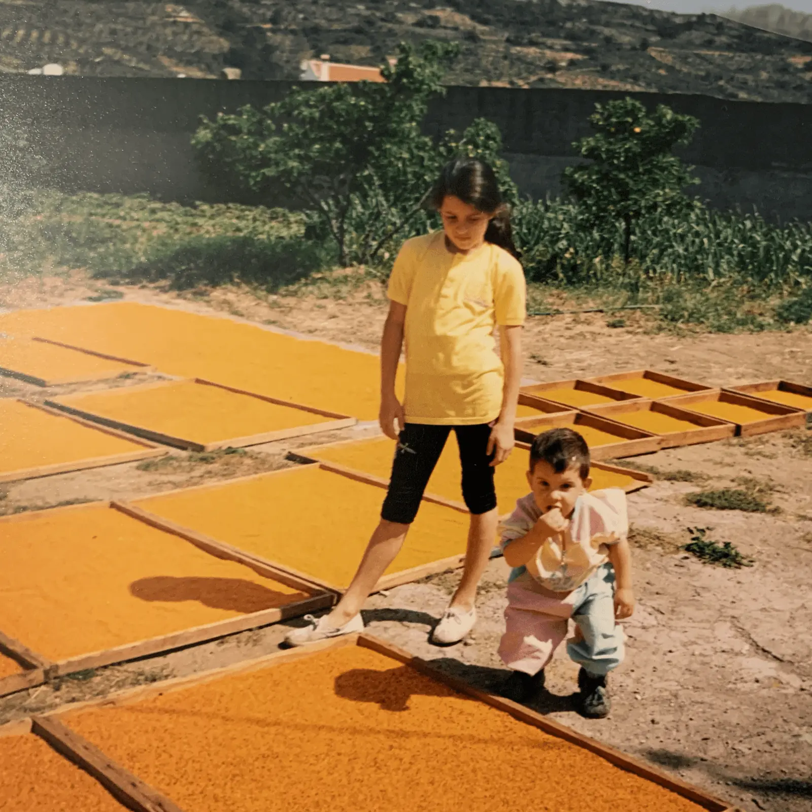 Niños de la familia de Miel Abejarana junto a bandejas de polen en proceso de secado artesanal