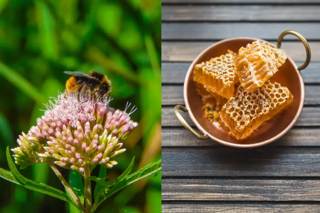 Aspectos a considerar y valorar