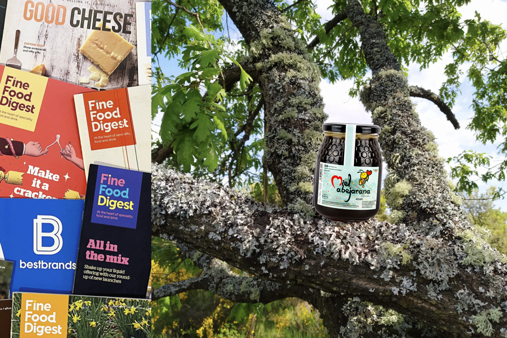 Miel de Bosque galardonada en los Great Taste Awards 2024 | Miel pura 100% origen España