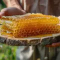 Tipos de miel: descubre todas sus variedades, sabores y beneficios